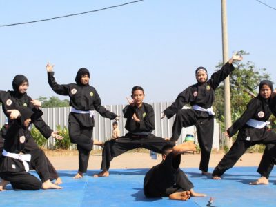 silat-pamur